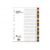 Divider / ATLAS Divider Gray with Printed Tabs A4, 20 Tabs
